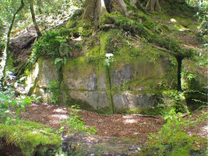 Read more about the article A New Age Myth: the Kaimanawa Wall