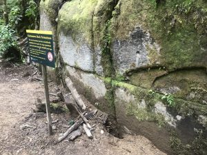 Read more about the article Kaimanawa wall carving not evidence of pre-Māori civilisation